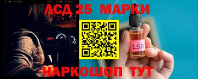 spice Кулебаки