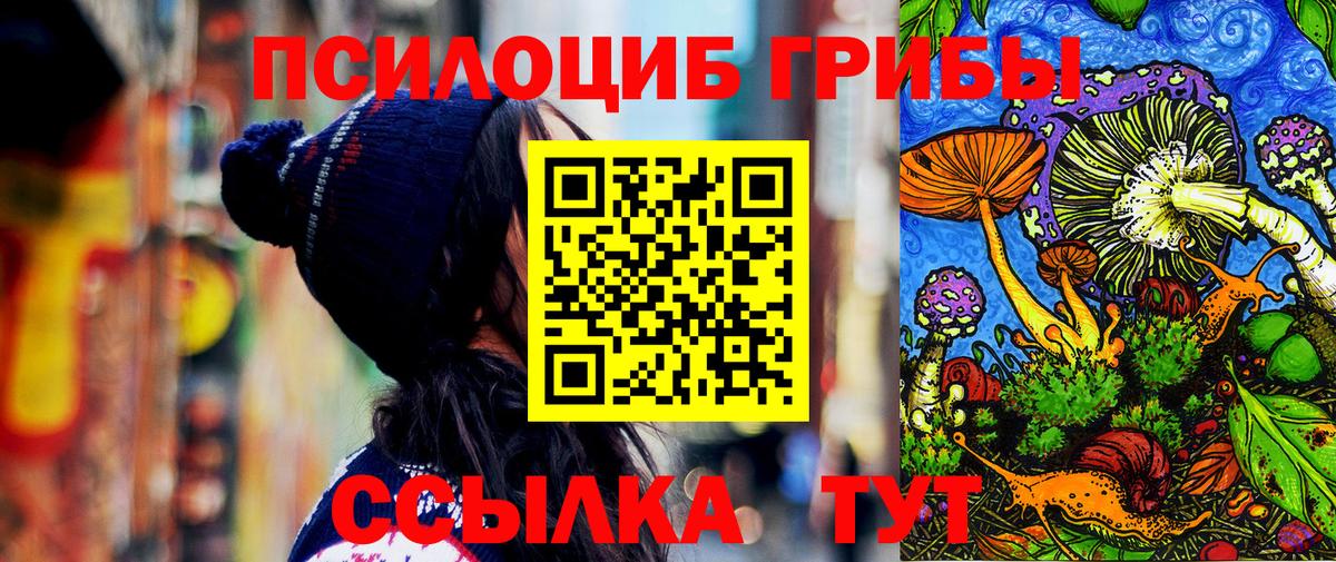 цена   Вход с VPN  Казань  Галлюциногенные грибы мицелий 