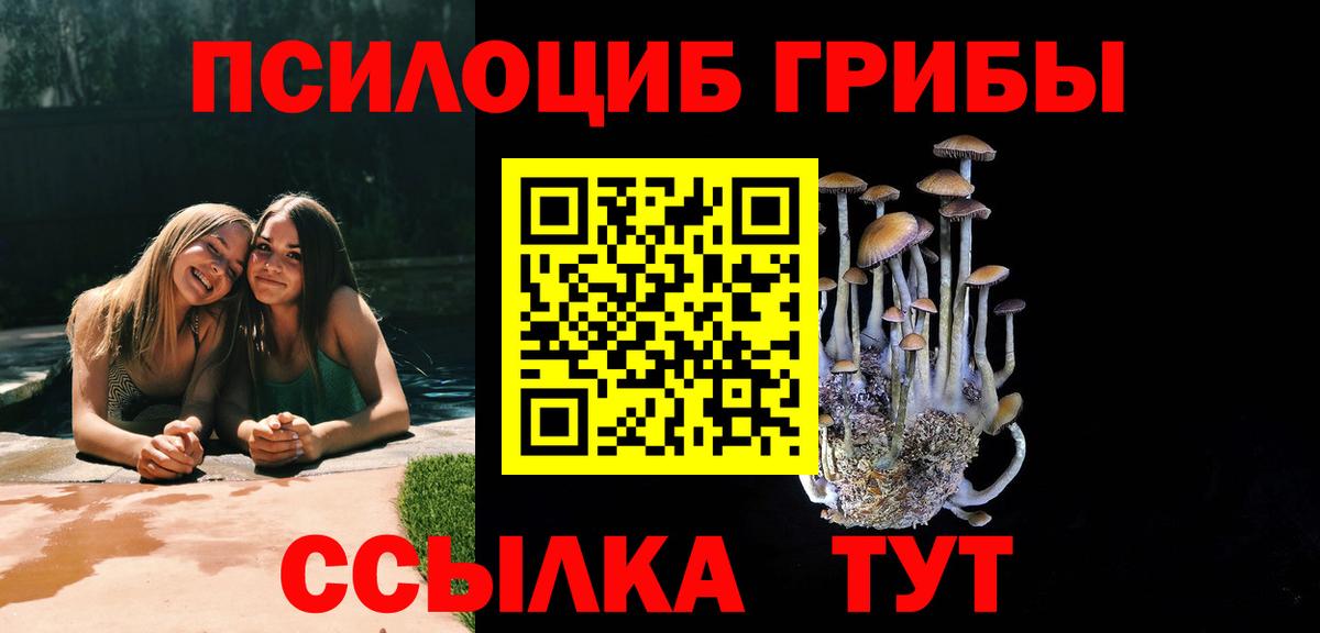 Галлюциногенные грибы мицелий Казань
